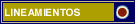Lineamientos Generales